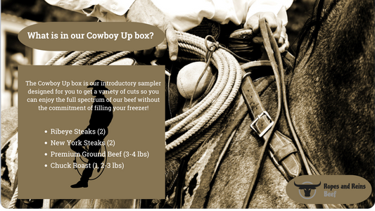 Cowboy Up Intro Box